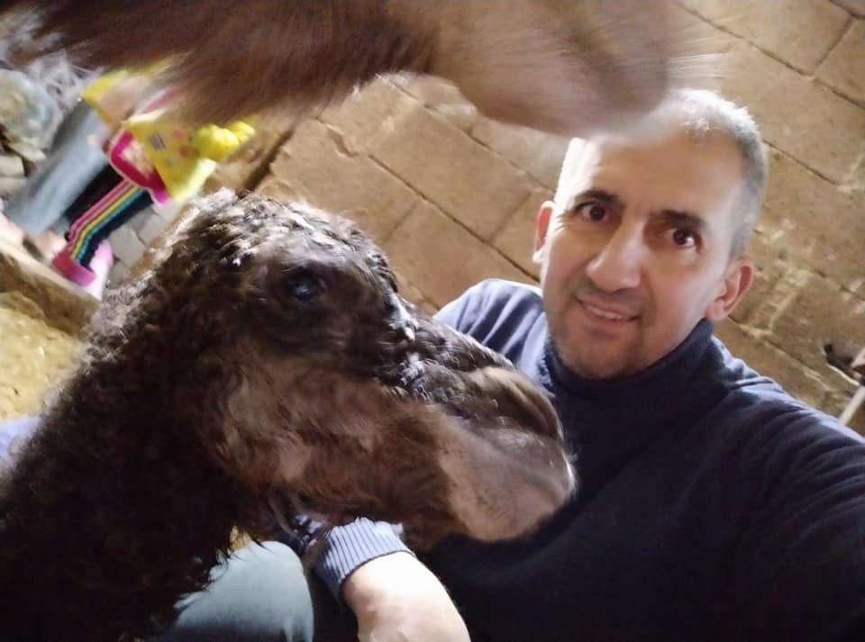 Safari Gezisi